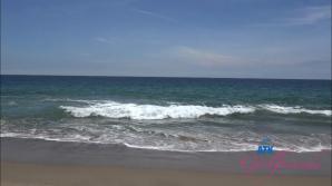 Sage Fox Malibu Part 1